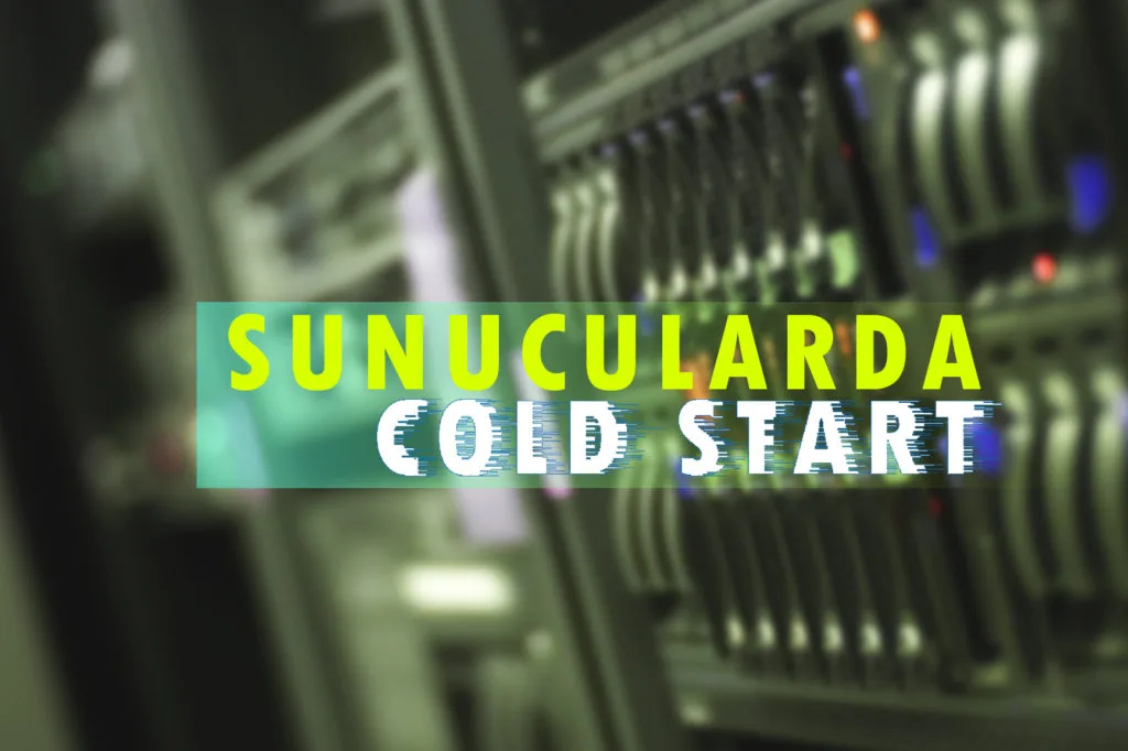 Sunucularda Cold Start ve Ram Modül Hatası